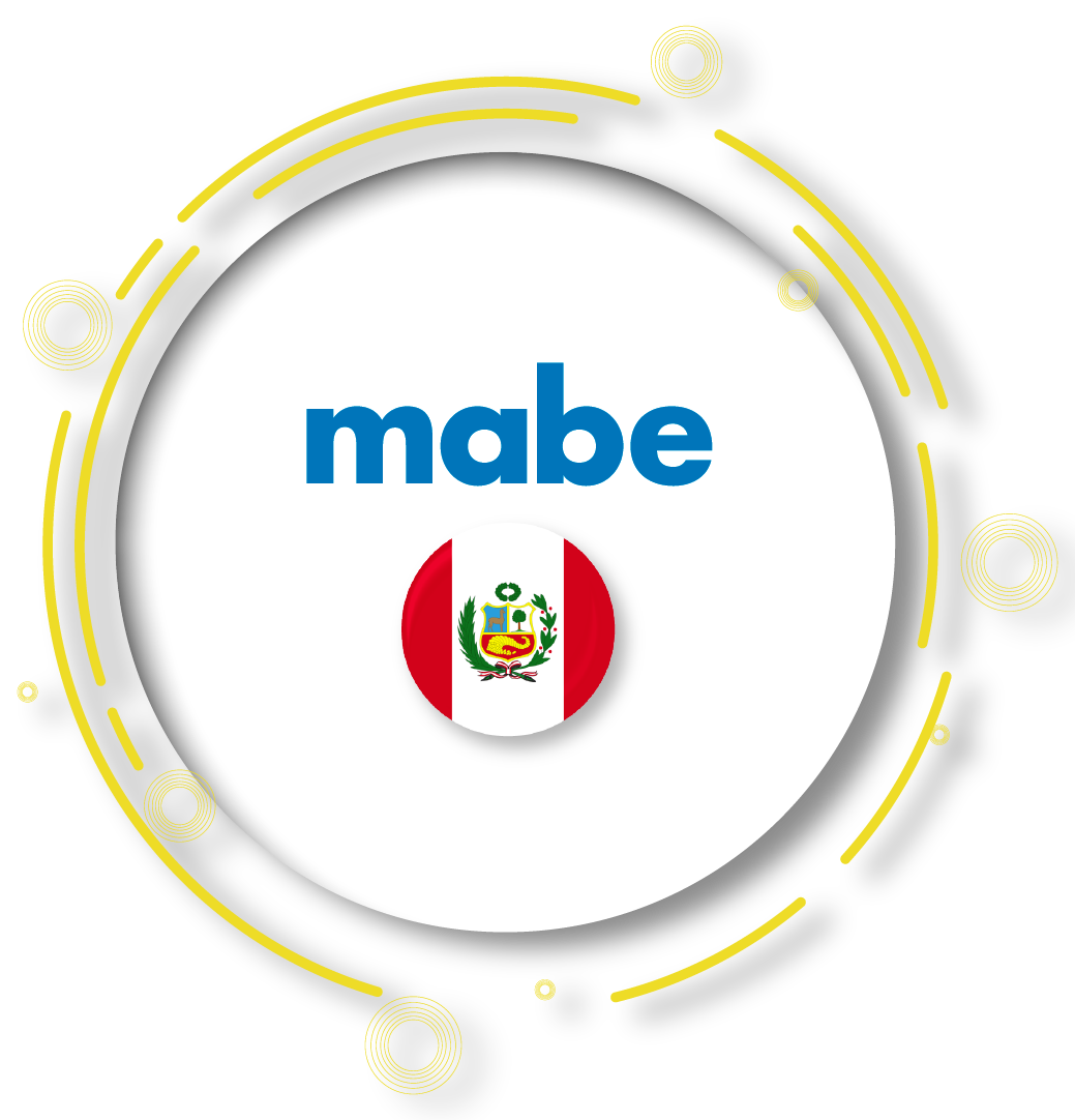 Descripción